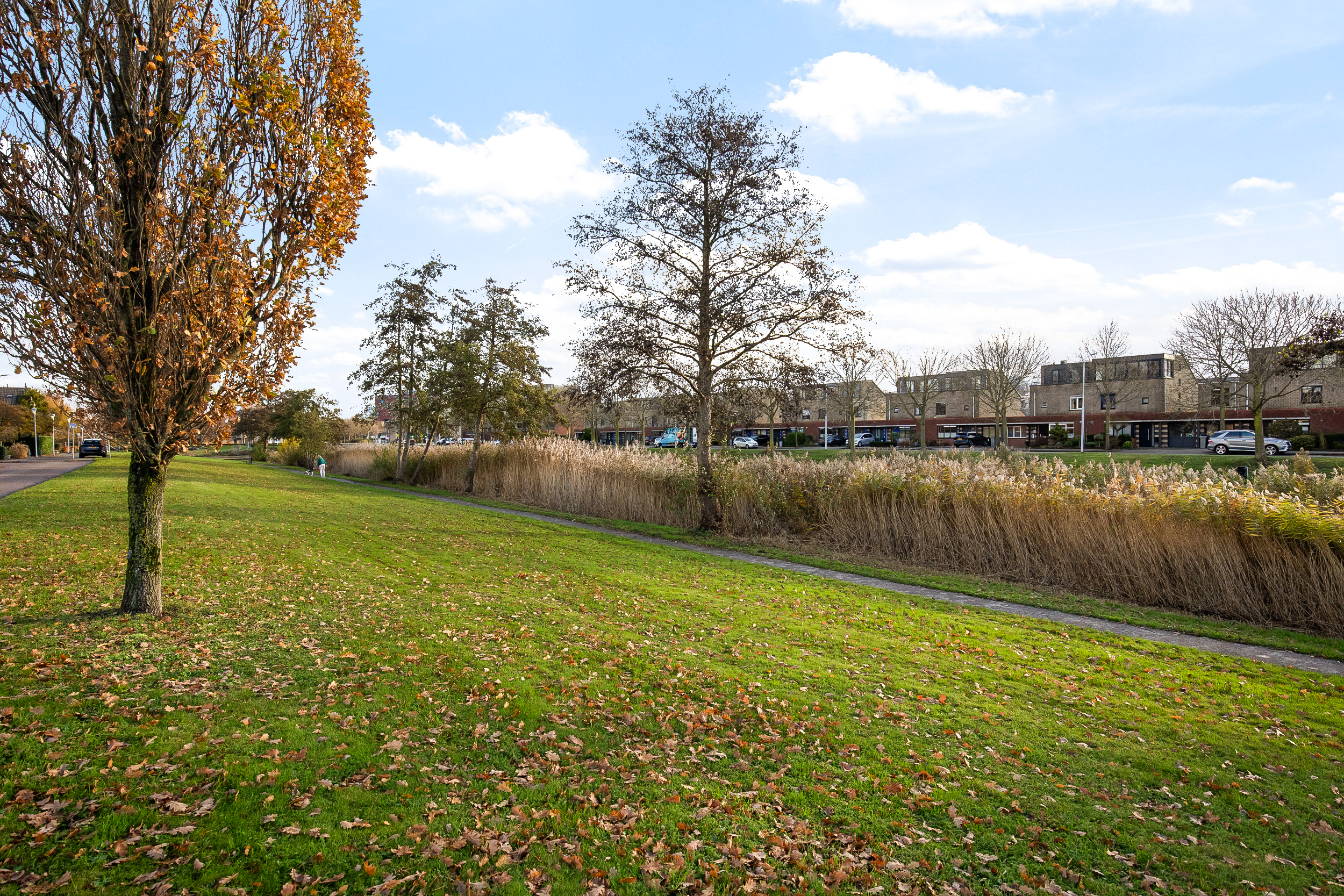 Taniaburg 36 , 2135 BX Hoofddorp 44